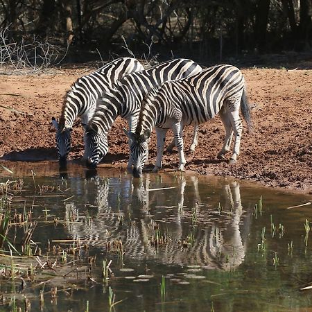 Bushbaby Lodge & Camping Hluhluwe Esterno foto