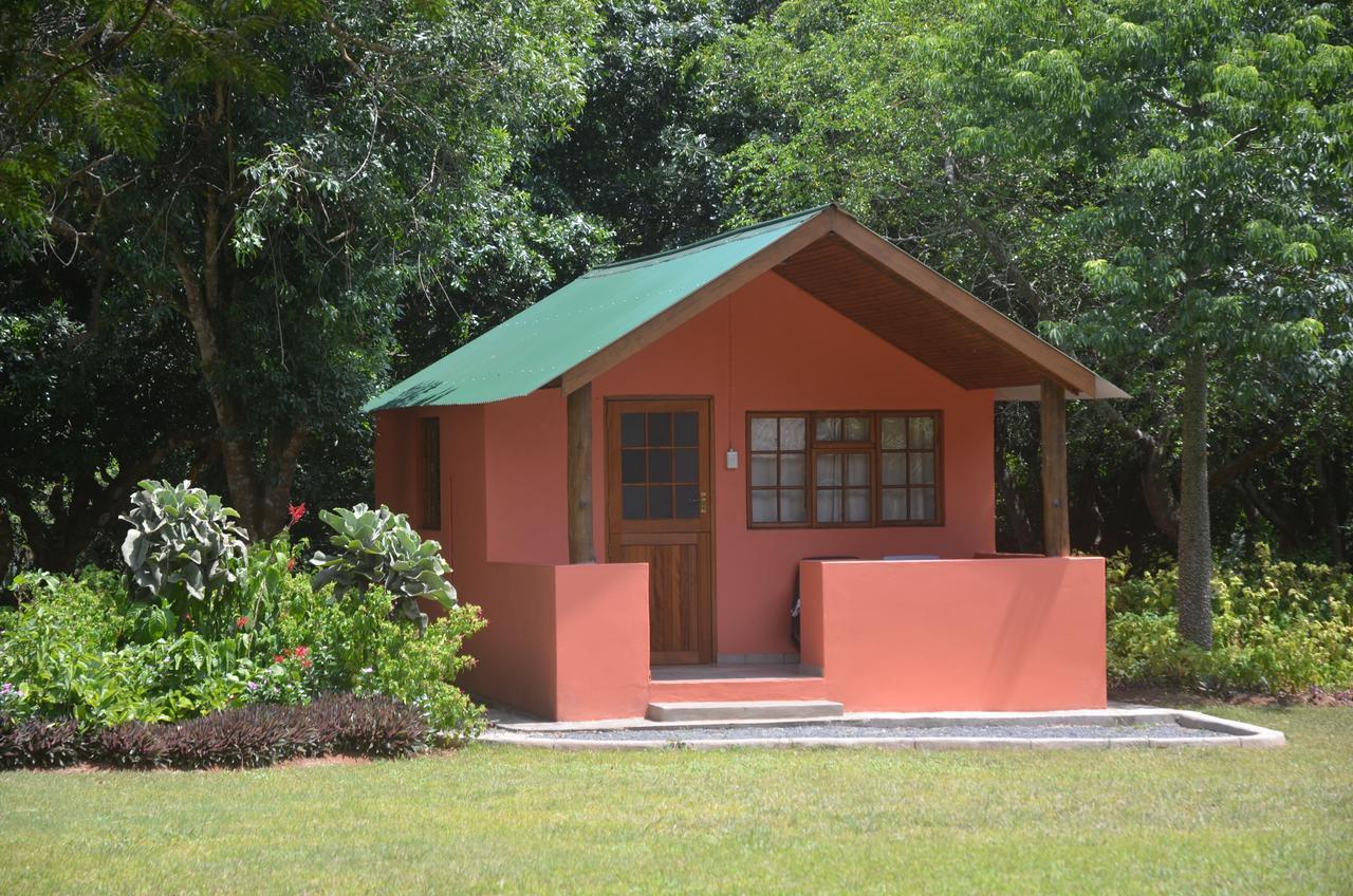 Bushbaby Lodge & Camping Hluhluwe Esterno foto