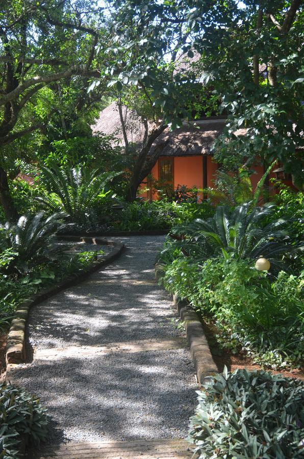 Bushbaby Lodge & Camping Hluhluwe Esterno foto