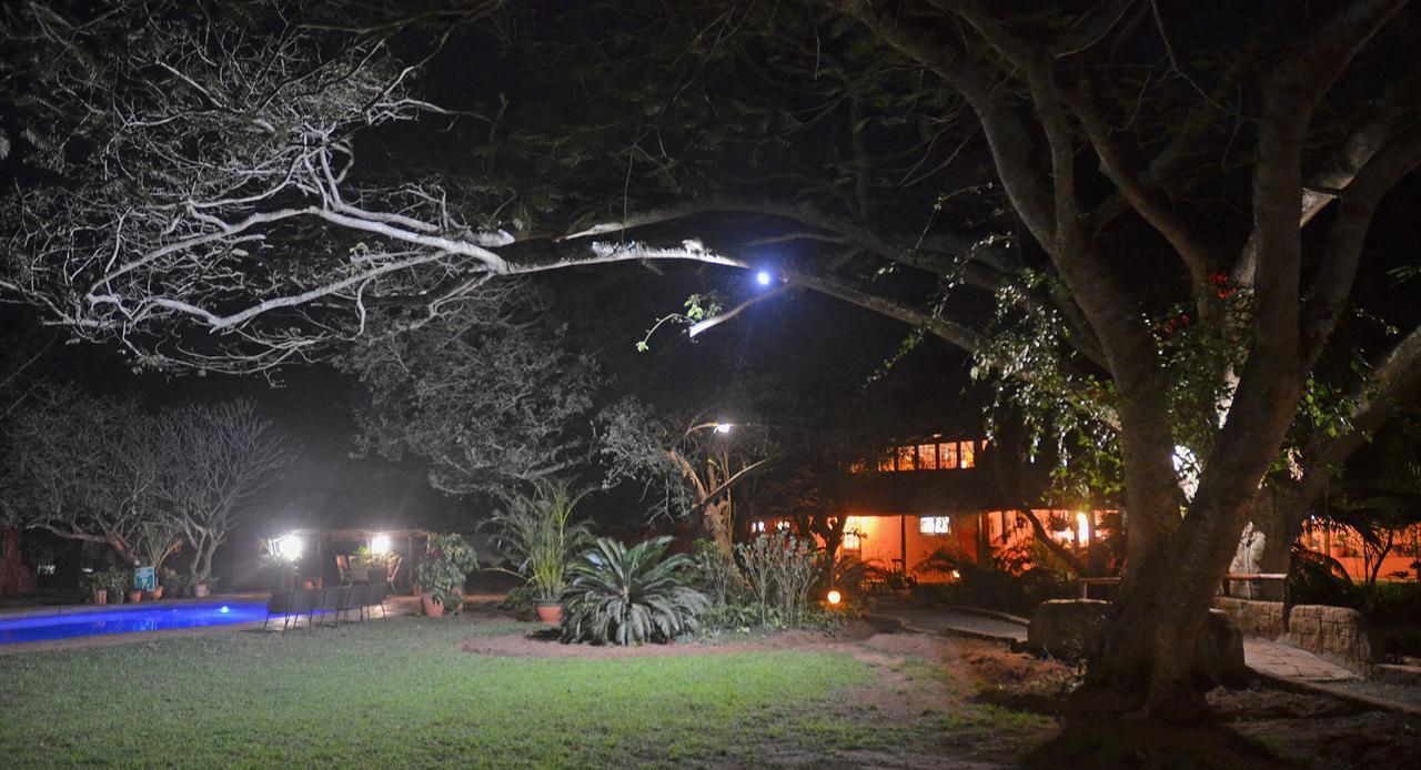 Bushbaby Lodge & Camping Hluhluwe Esterno foto