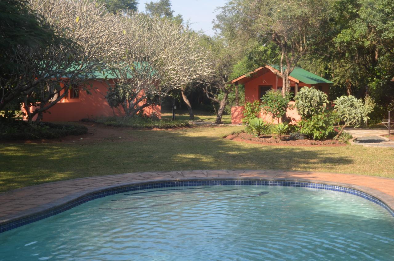 Bushbaby Lodge & Camping Hluhluwe Esterno foto